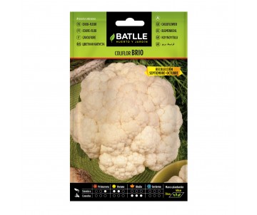 COLIFLOR BRIO