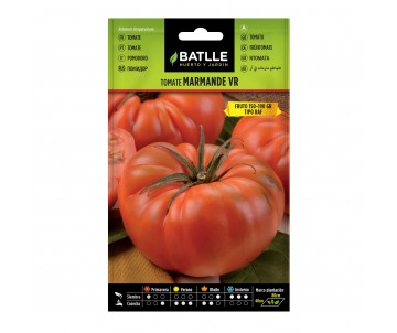 TOMATE MARMANDE VR