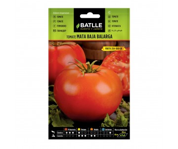 TOMATE MATA BAJA BALARGA